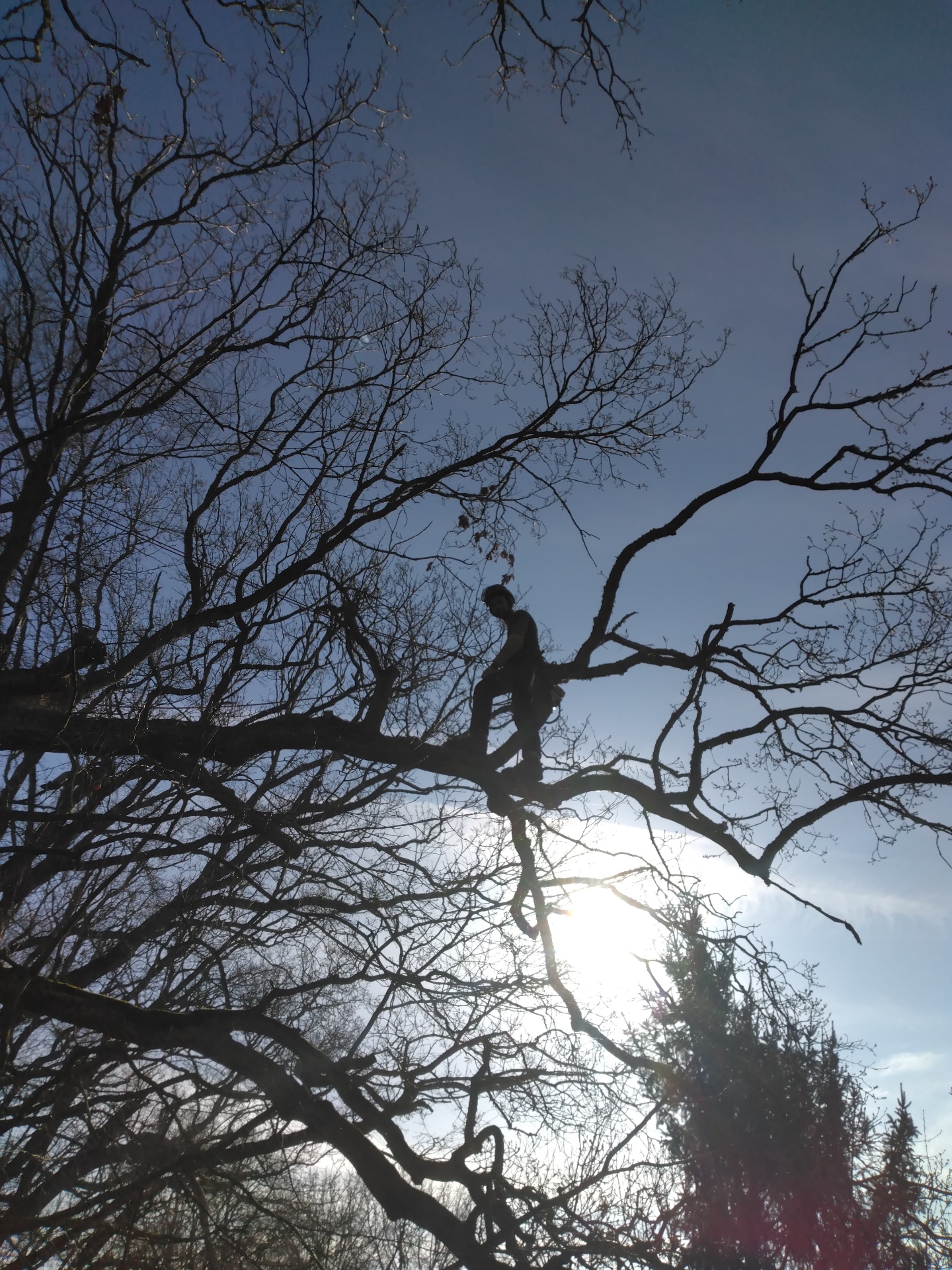 Descente d'une bille de bois par rétention